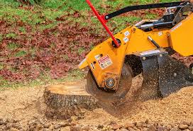 Best Tree Trimming and Pruning  in Rose Hill, NC